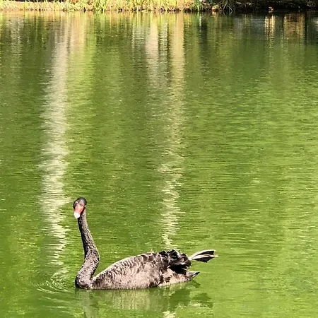 - Casas Dos Infantes