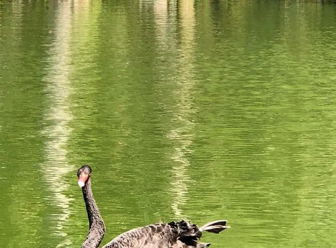 - Casas Dos Infantes