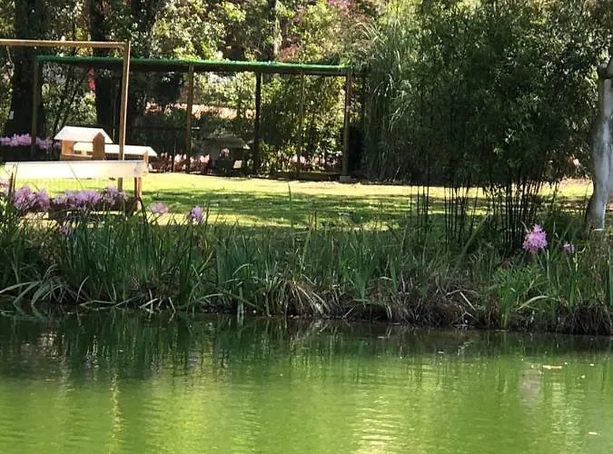 - Casas Dos Infantes Apartmán Caldas Da Rainha